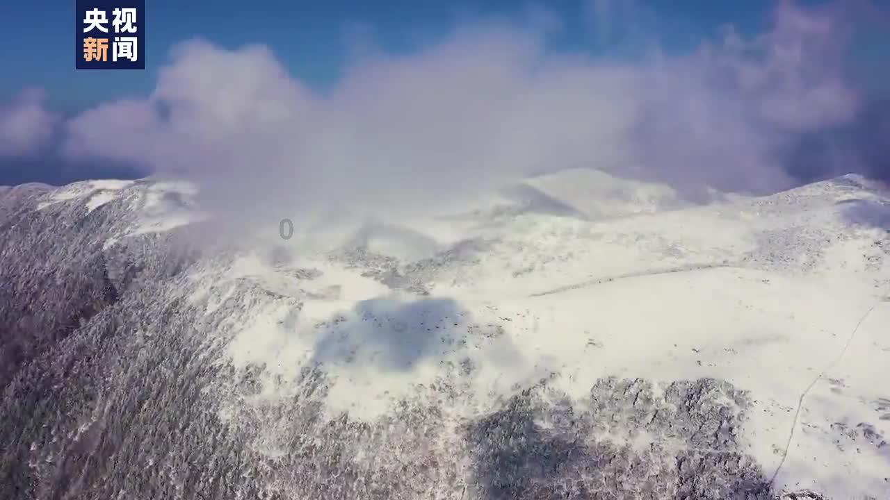 超级坦克联盟