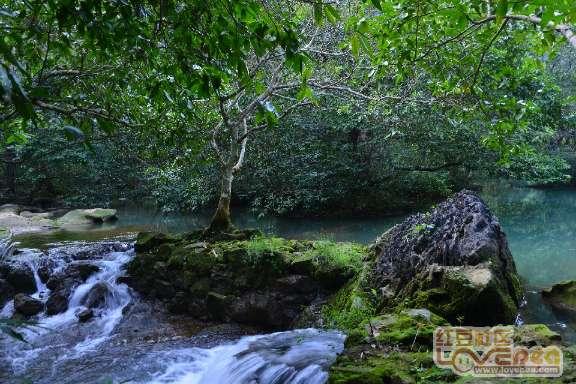 虫虫助手下载