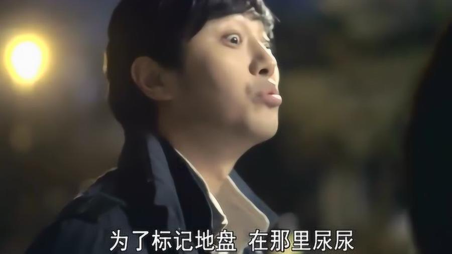 丛林之决战
