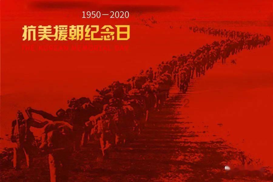 救援鹦鹉