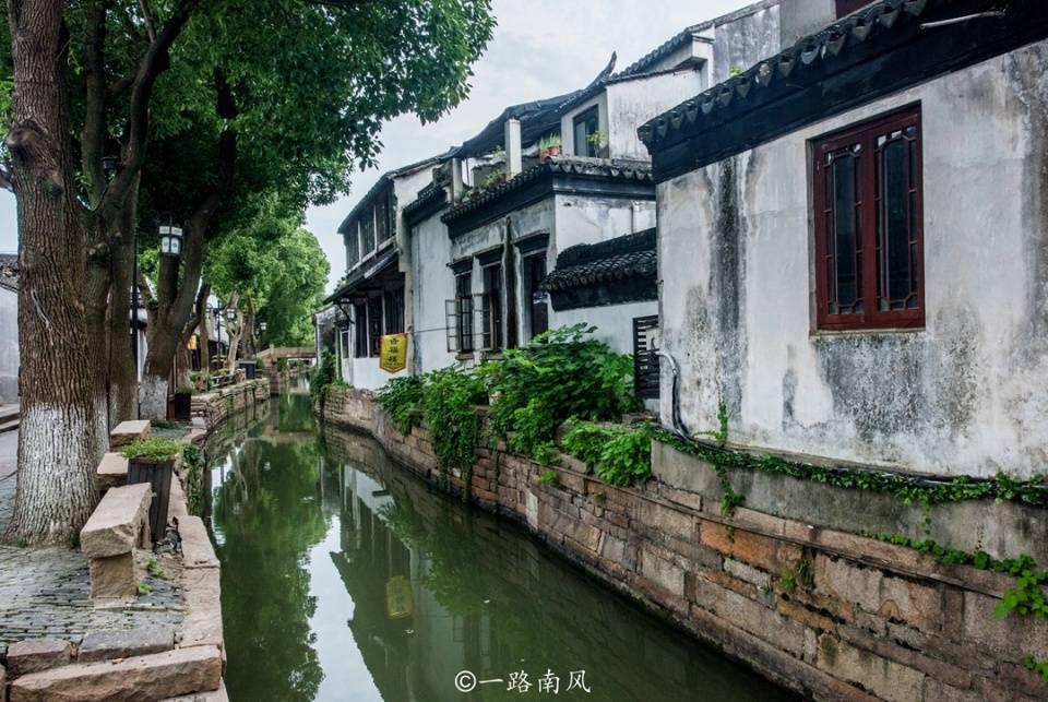 针织裙